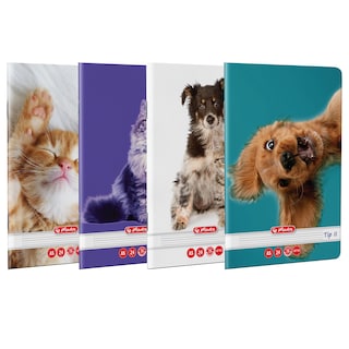 Herlitz | Caiet A5, tip II 24 file, diverse modele