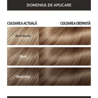 Loncolor | Expert Oil Fusion | Vopsea de par permanenta fara amoniac 7.0 Blond mediu