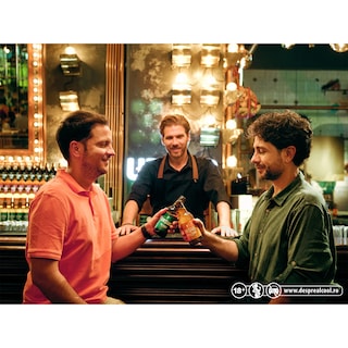 Ursus | Bere Pilsner 0.33L