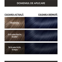 Loncolor | Expert Oil Fusion | Vopsea de par permanenta fara amoniac 1.9 Negru albastrui