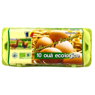 Eco Vial | Oua ecologice cod 0 marimea M 10 bucati