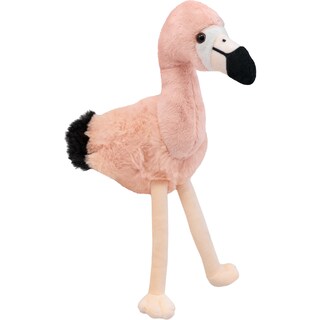 Expeditie in jurul lumii | Plus Flamingo