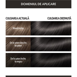 Loncolor | Expert Oil Fusion | Vopsea de par permanenta fara amoniac 1.0 Negru