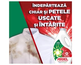 Ariel
