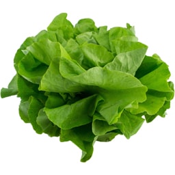 Salata verde