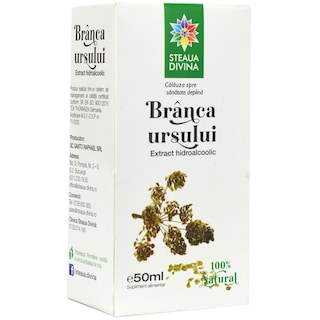 Steaua Divina | Extract din Branca Ursului 50ml