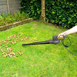 Ferm | Suflanta pentru frunze 400W