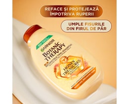 Garnier-Botanic Therapy
