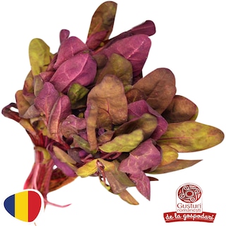 Gusturi romanesti | Loboda legatura