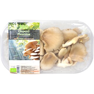 (bucata) | Ciuperci Pleurotus eco 300g