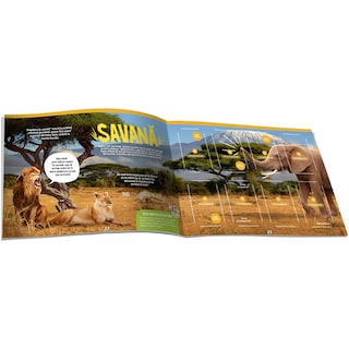 Expeditie in jurul lumii | Album Expeditie in jurul lumii