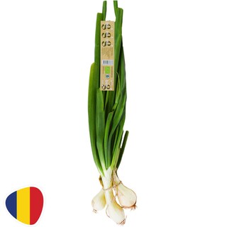 Eco | Ceapa verde eco, Romania