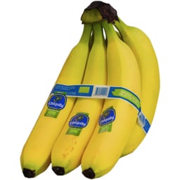 Banane bio