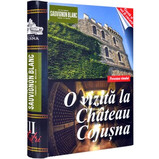 Cojusna | Vin alb demisec bag in box Sauvignon Blanc 3L