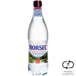 Borsec | Apa minerala naturala carbogazoasa 0.5L
