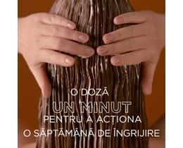 Garnier | Botanic Therapy | Masca de par Honey & Beeswax 340ml