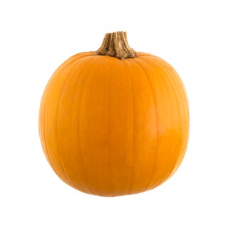 (bucata) | Dovleac Halloween pictat