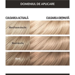 Loncolor | Expert Oil Fusion | Vopsea de par permanenta fara amoniac 8.1 Blond cenusiu deschis