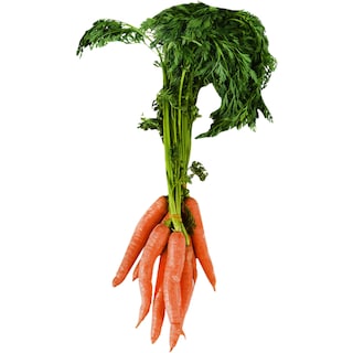 (bucata) | Morcovi legatura