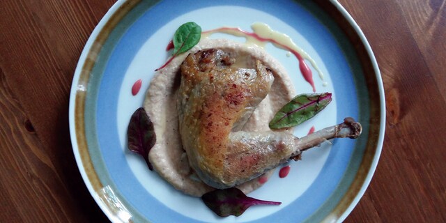 Pulpa de bibilica si piure de mere