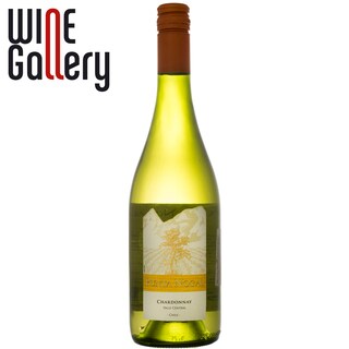 Punta Nogal | Vin alb Chardonnay 0.75l