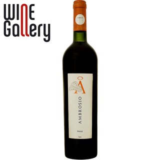 Ambrosio | Vin rosu Merlot 0.75l