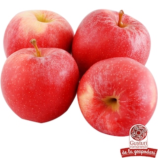 Gusturi romanesti | Mere Gala