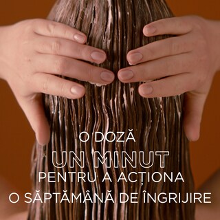 Garnier | Botanic Therapy | Masca de par Honey & Beeswax 340ml