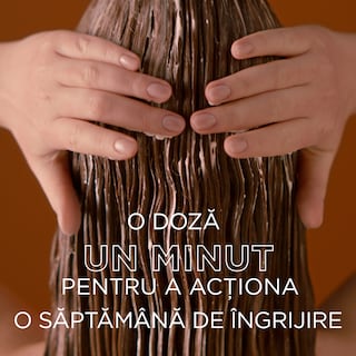 Garnier | Botanic Therapy | Masca de par Honey & Beeswax 340ml