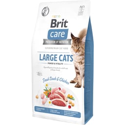 Hrana uscata pentru pisici Grain-Free Large cats Power & Vitality 2kg
