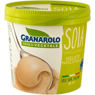 Granarolo | Inghetata vegetala alune 400g