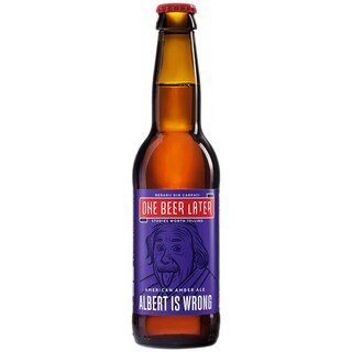 One beer later | Bere artizanala American Amber Ale Albet is Wrong 330ml