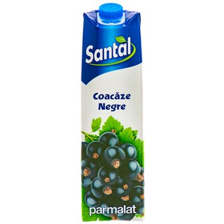 Santal | Bautura racoritoare necarbogazoasa din suc de coacaze negre 1l