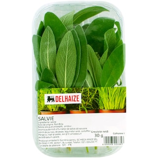 Delhaize | Salvie  30g