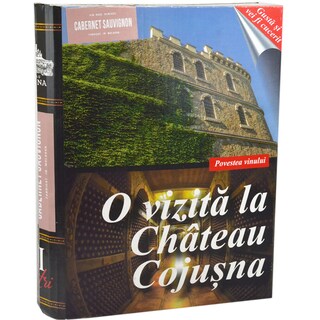 Cojusna | Vin rose demisec bag in box Cabernet Sauvignon 3L