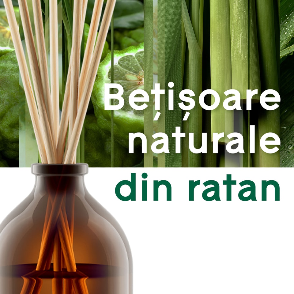 Glade Aromatherapy Betisoare parfumate Calm Mind 80ml Megaimage