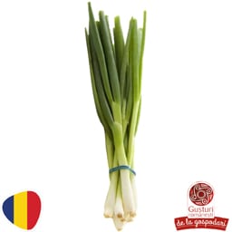 Ceapa, praz  si usturoi