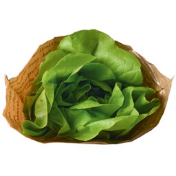 Salata verde cu radacina