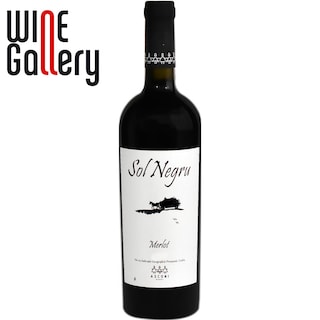 Asconi | Vin rosu Sol Negru 0.75l