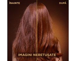 Garnier-Botanic Therapy