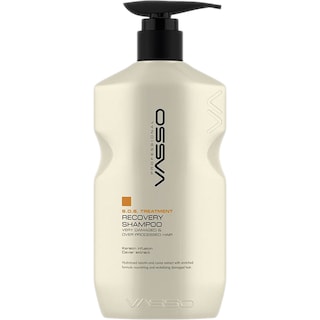 Vasso | Sampon tratament recuperator 500ml