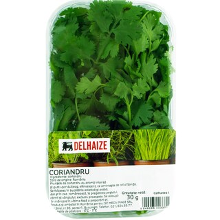 Delhaize | Coriandru  30g