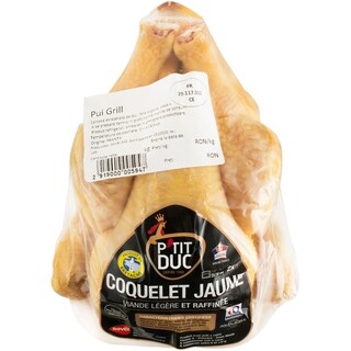 Savel | Pui Coquelet Jaune