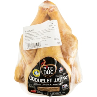 Savel | Pui Coquelet Jaune