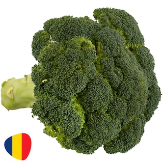 (vrac) | Broccoli