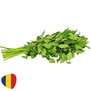 (bucata) | Leustean