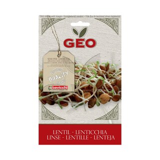 Geo | Seminte raw-vegan bio linte 90g