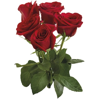 MEGA | Trandafiri, buchet 5 fire, diverse culori