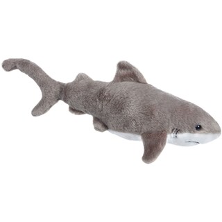 Expeditia Oceanelor | Rechin alb