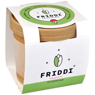 Friddi | Inghetata cu fistic bio 250g